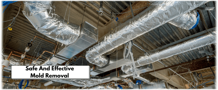 Air Duct Mold Removal in Denton TX