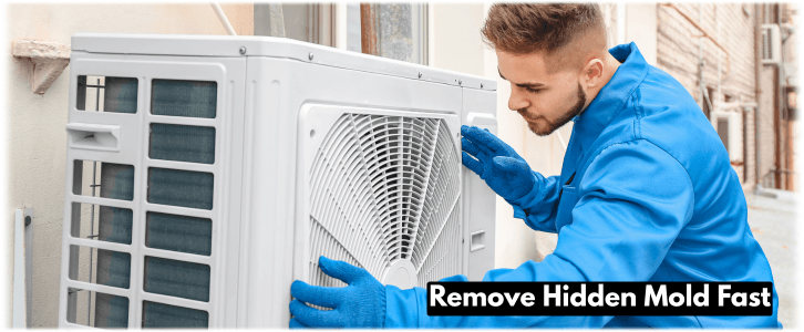 HVAC Mold Removal Denton TX